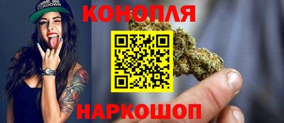 гашик Аргун