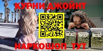 гашик Аргун